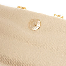 Load image into Gallery viewer, Party bag Budo Karakusa-mon Nishiki (MF2526)