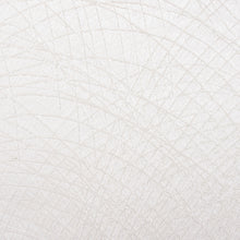 画像をギャラリービューアに読み込む, 出帛紗 春正芒文錦