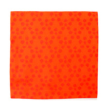 画像をギャラリービューアに読み込む, 古帛紗 利休緞子